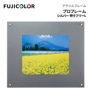 FUJICOLORmtWJ[nz vt[ [ t[L ] TCY AN Vo[