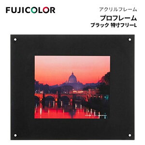 FUJICOLOR�m�t�W�J���[�n�z�� �v���t���[�� [ �����t���[L ] ����T�C�Y �A�N���� �u���b�N