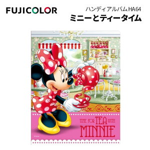 FUJICOLORmtWJ[nfBYj[LN^[ nfBAo HA64 ~j[ƃeB[^C iEELTCY ʐ^ 64[ disneyj