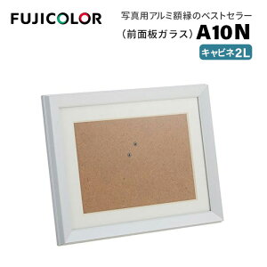 FUJICOLOR�m�t�W�J���[�n�z�� A10N 2L �A���~ �V���o�[