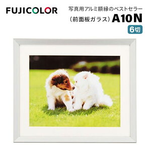 FUJICOLOR�m�t�W�J���[�n�z�� A10N 6�� �A���~ �V���o�[