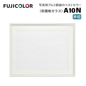 FUJICOLORmtWJ[nz A10N  A~ Vo[