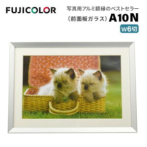FUJICOLOR�m�t�W�J���[�n�z�� A10N ���C�h6�� �A���~ �V���o�[