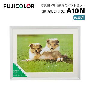 FUJICOLORmtWJ[nz A10N Ch4 A~ Vo[