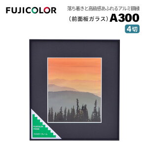 FUJICOLORmtWJ[nz A300 4 A~ ubN