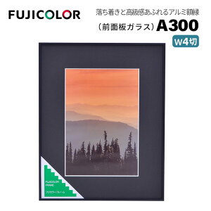 FUJICOLORmtWJ[nz A300 Ch4 A~ ubN