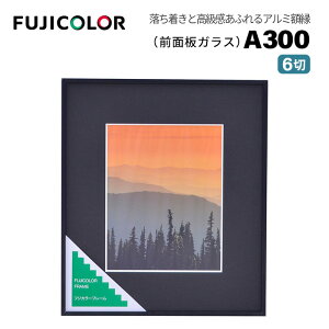 FUJICOLORmtWJ[nz A300 6 A~ ubN