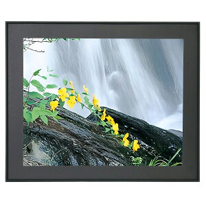 yAEgbgi - ʌztWJ[ z A29 () S A~ ubN