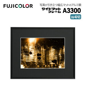 FUJICOLORmtWJ[nz Ch}bgt[ A3300 AN Ch4 A~ ubN