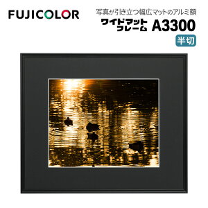 FUJICOLORmtWJ[nz Ch}bgt[ A3300 AN  A~ ubN