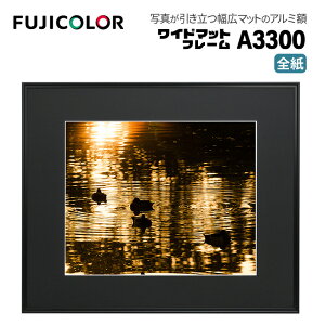 FUJICOLORmtWJ[nz Ch}bgt[ A3300 AN S A~ ubN