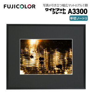 FUJICOLORmtWJ[nz Ch}bgt[ A3300 AN ؃m[gi135j A~ ubN