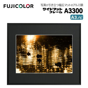 FUJICOLORmtWJ[nz Ch}bgt[ A3300 AN A3mr A~ ubN