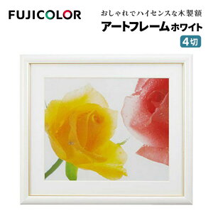 FUJICOLORmtWJ[nz A[gt[ 4 ؐ zCg