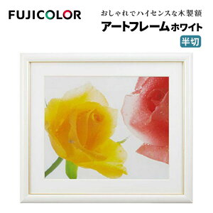 FUJICOLORmtWJ[nz A[gt[ AN  ؐ zCg