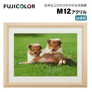 FUJICOLORmtWJ[nz M12 AN ؒn Ch4 ؐ x[W