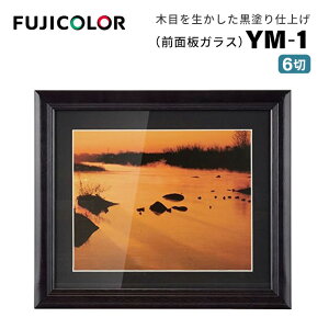 FUJICOLORmtWJ[nz YM-1 6 ؐ ubN
