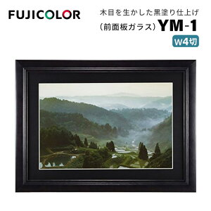 FUJICOLORmtWJ[nz YM-1 Ch4 ؐ ubN