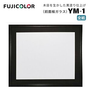 FUJICOLORmtWJ[nz YM-1 S ؐ ubN