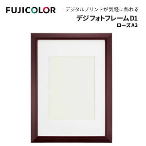 FUJICOLORmtWJ[nz fWtHgt[D1 [Y A3 ؐ bh