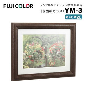 FUJICOLORmtWJ[nz YM-3 BR Lrl 2L ؐ uE