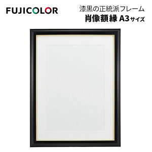 FUJICOLORmtWJ[nz ёz A3 ؐ ubN iёz ʐ^zj