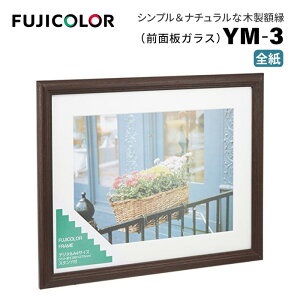 FUJICOLORmtWJ[nz YM-3 BR S ؐ uE