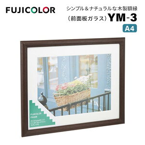 FUJICOLORmtWJ[nz YM-3 BR A4 ؐ uE