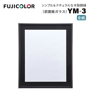 FUJICOLORmtWJ[nz YM-3 B S ؐ ubN