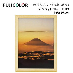 FUJICOLORmtWJ[nz fWtHgt[D3 L-͂EL-A4, i`-uE-[Y