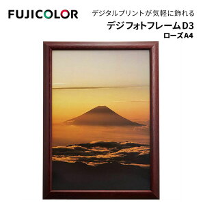 FUJICOLORmtWJ[nz fWtHgt[D3 L-͂EL-A4, i`-uE-[Y