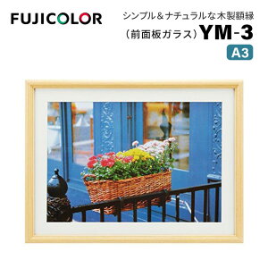 FUJICOLORmtWJ[nz YM-3 ؒn A3 ؐ x[W