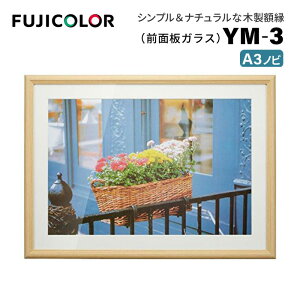 FUJICOLORmtWJ[nz YM-3 ؒn A3mr ؐ x[W