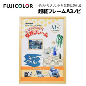FUJICOLORmtWJ[nz yt[ ؒn A3mr ؐ x[W iёz ʐ^zj