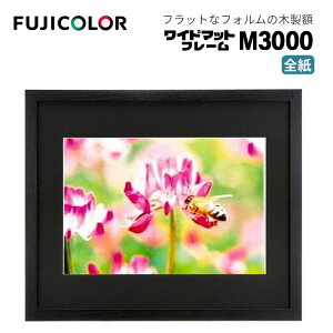 FUJICOLORmtWJ[nz Ch}bgt[ M3000 AN S ؐ ubN