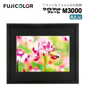 FUJICOLORmtWJ[nz Ch}bgt[ M3000 AN A3mr ؐ ubN