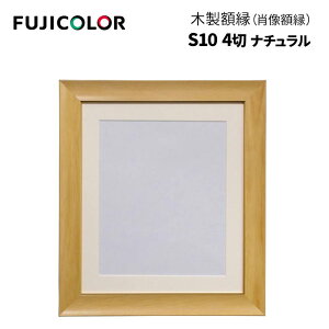 FUJICOLORmtWJ[nؐz S10 ͂EL-A4TCY, i`-`[N-uEiёz ʐ^ VR  w  v[g j