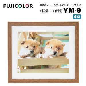 FUJICOLORmtWJ[nؐz YM-9 4 uE i uE ؖ 4 PETj