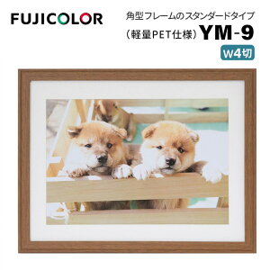 FUJICOLORmtWJ[nؐz YM-9 Ch4 uE i uE ؖ Ch4 PETj