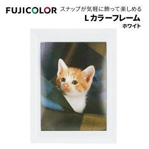 FUJICOLORmtWJ[nLJ[t[ zCg-X[N-NA iʐ^ zj