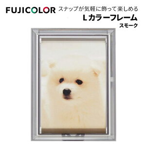 FUJICOLORmtWJ[nLJ[t[ zCg-X[N-NA iʐ^ zj