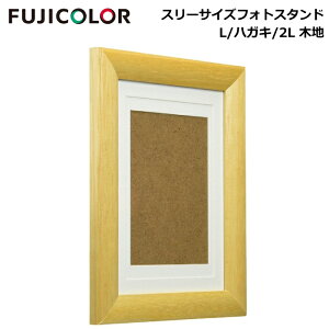 FUJICOLORmtWJ[ntHgt[ X[TCYtHgX^h L-nKL-2Lp, ؒn-uE-O[ ʐ^