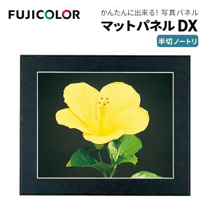 FUJICOLORmtWJ[nz }bgpl DX ؃m[g ؐ ubN