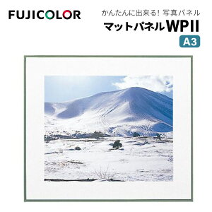 FUJICOLORmtWJ[nz }bgpl WP2 A3 ؐ zCg