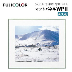 FUJICOLORmtWJ[nz }bgpl WP2 A3mr ؐ zCg