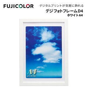 FUJICOLORmtWJ[nz fWtHgt[D4 A4iB5p}bgtj A4 ؐ zCg