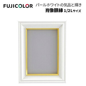 FUJICOLORmtWJ[nz ёz p[zCg [ ˃KX ] 1/2L ؐ zCg iёz ʐ^zj