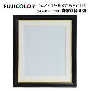 FUJICOLOR�m�t�W�J���[�n�ё��z�� 4�� �i������PET�d�l�j