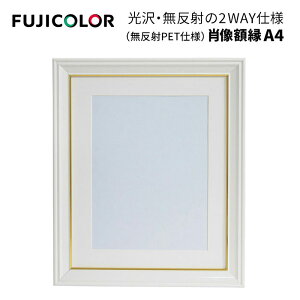 FUJICOLOR�m�t�W�J���[�n�ё��z�� A4 �p�[���z���C�g�i������PET�d�l�j