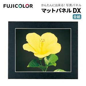 FUJICOLORmtWJ[nz }bgpl DX S ؐ ubN